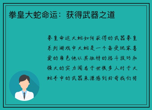 拳皇大蛇命运：获得武器之道